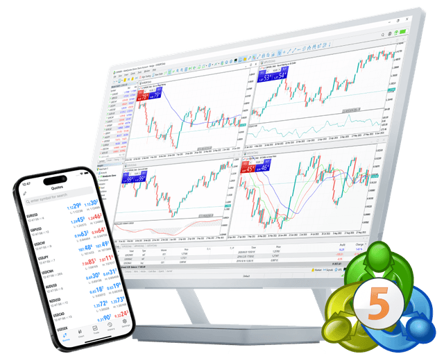 MT5 setup step 3 image